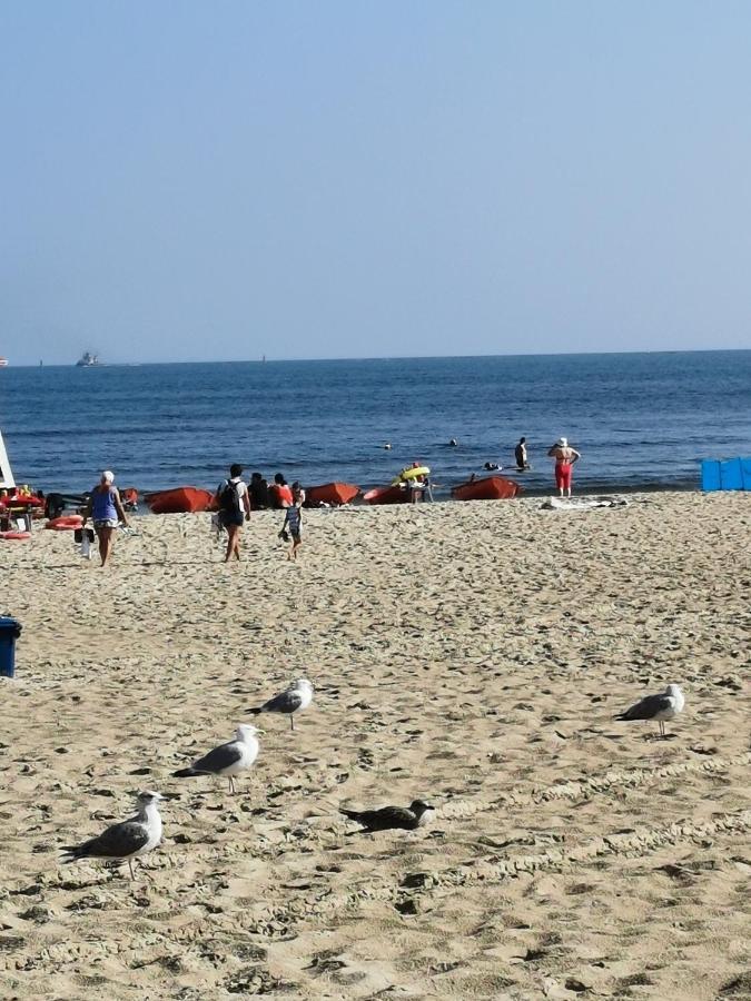 Parkidylle Apartment Swinoujscie