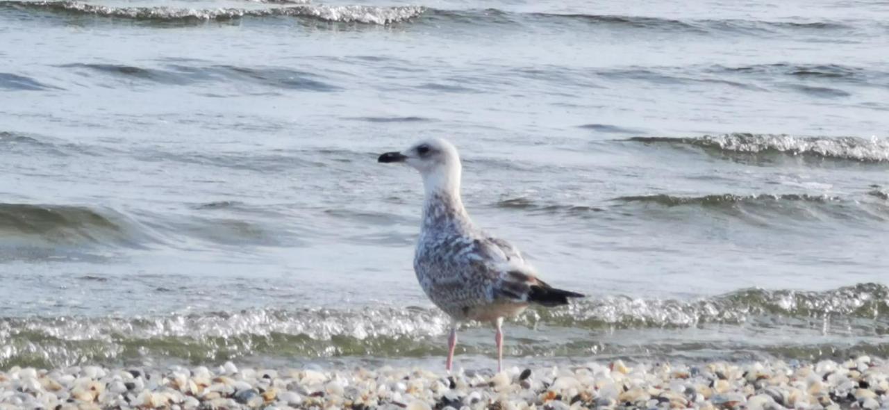 Parkidylle Swinoujscie